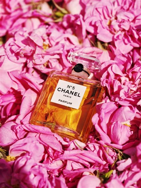 chanel rosse